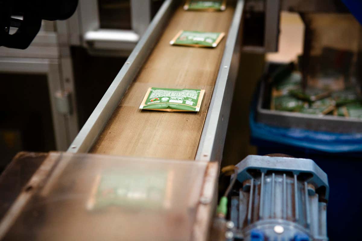 Caffè Borbone entra nel club da 300 milioni: nel 2023 ricavi in crescita del 14,3%